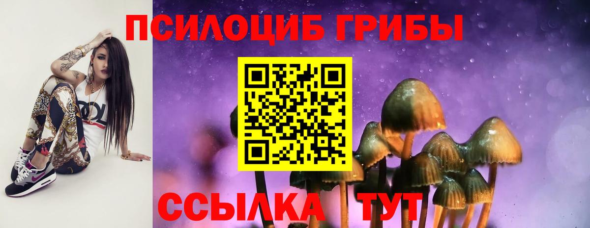 Кисловодск  где купить наркотик  Вход с VPN  Галлюциногенные грибы ЛСД 